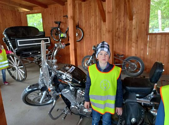 Gr. IV "Park Miniatur" i "Park Gigantów" - Strysza Buda