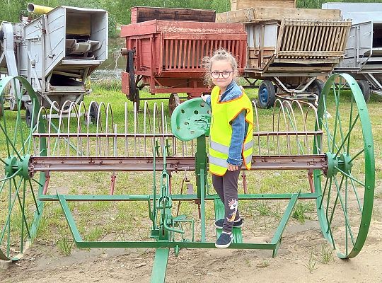 Gr. IV "Park Miniatur" i "Park Gigantów" - Strysza Buda