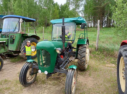 Gr. IV "Park Miniatur" i "Park Gigantów" - Strysza Buda