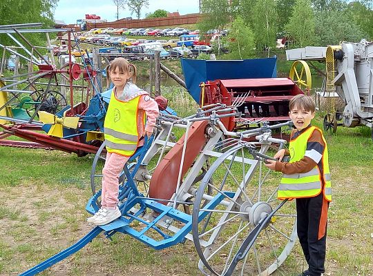 Gr. IV "Park Miniatur" i "Park Gigantów" - Strysza Buda