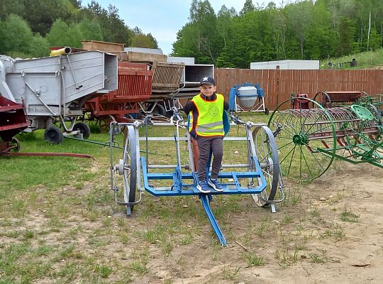 Gr. IV "Park Miniatur" i "Park Gigantów" - Strysza Buda