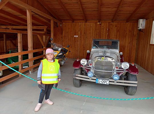 Gr. IV "Park Miniatur" i "Park Gigantów" - Strysza Buda