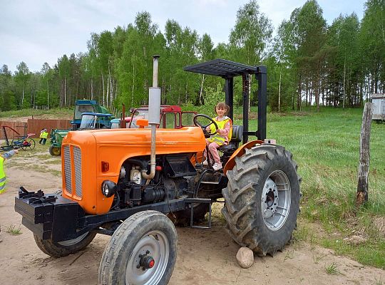 Gr. IV "Park Miniatur" i "Park Gigantów" - Strysza Buda