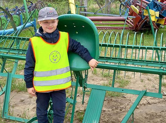 Gr. IV "Park Miniatur" i "Park Gigantów" - Strysza Buda