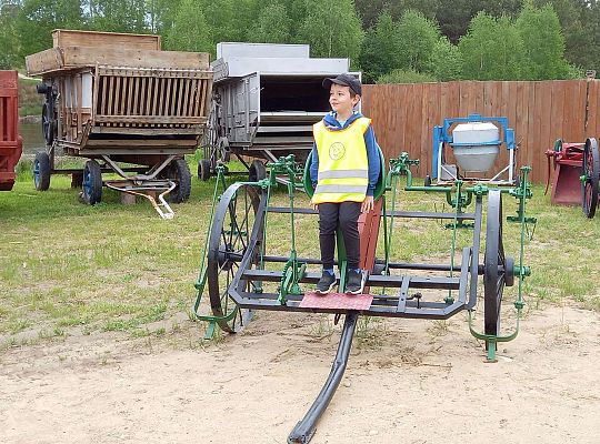Gr. IV "Park Miniatur" i "Park Gigantów" - Strysza Buda