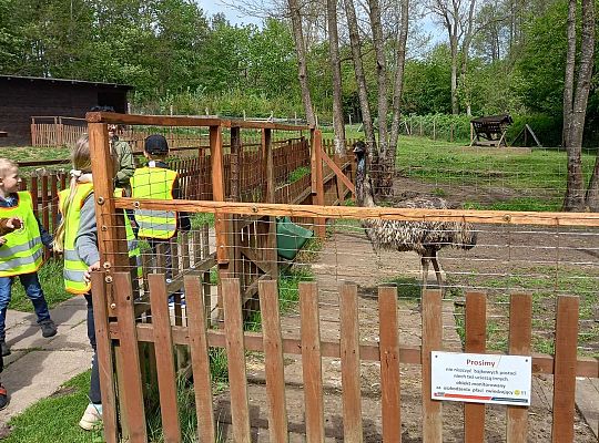 Gr. IV "Park Miniatur" i "Park Gigantów" - Strysza Buda