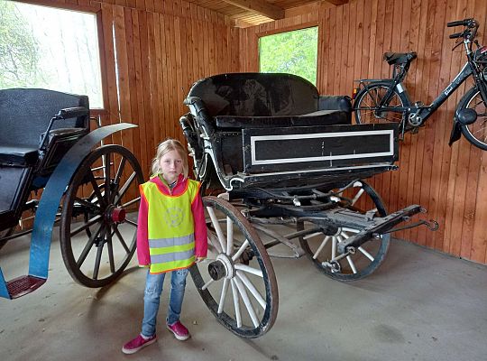 Gr. IV "Park Miniatur" i "Park Gigantów" - Strysza Buda