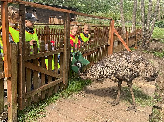 Gr. IV "Park Miniatur" i "Park Gigantów" - Strysza Buda