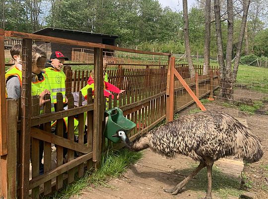 Gr. IV "Park Miniatur" i "Park Gigantów" - Strysza Buda