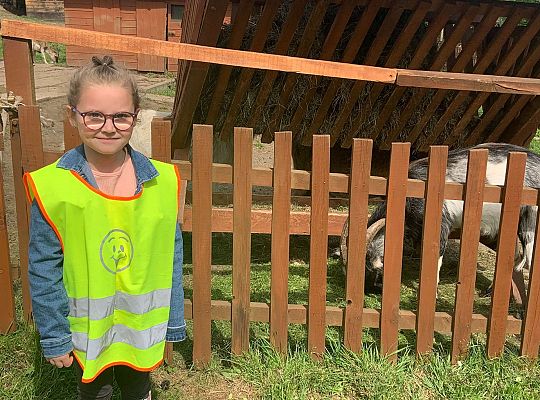 Gr. IV "Park Miniatur" i "Park Gigantów" - Strysza Buda