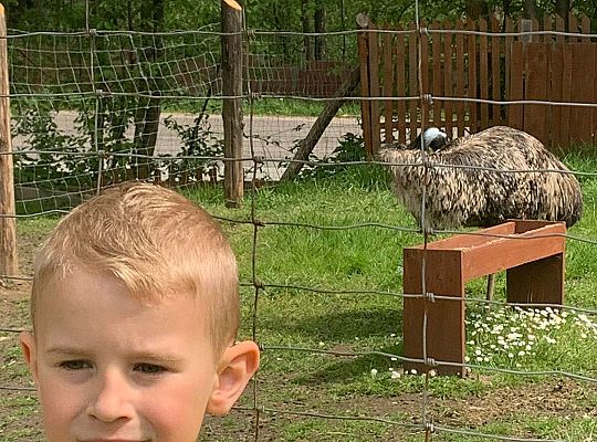 Gr. IV "Park Miniatur" i "Park Gigantów" - Strysza Buda