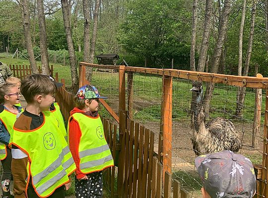 Gr. IV "Park Miniatur" i "Park Gigantów" - Strysza Buda