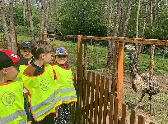 Gr. IV "Park Miniatur" i "Park Gigantów" - Strysza Buda