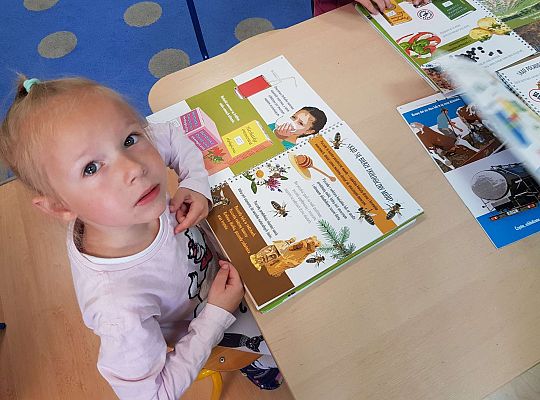 Program "Skąd się biorą produkty ekologiczne"