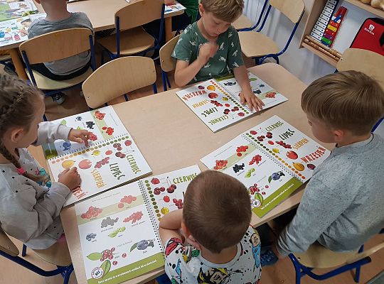 Program "Skąd się biorą produkty ekologiczne"