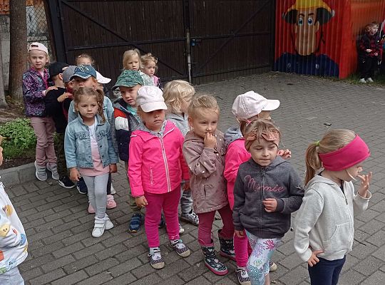 Aktywnie spędzamy czas - warsztaty taneczne