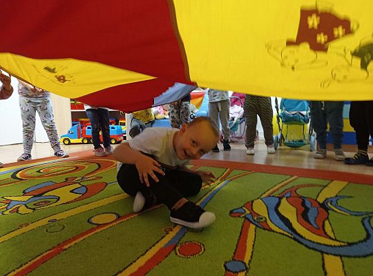 Gr. II Urodzinki Igora