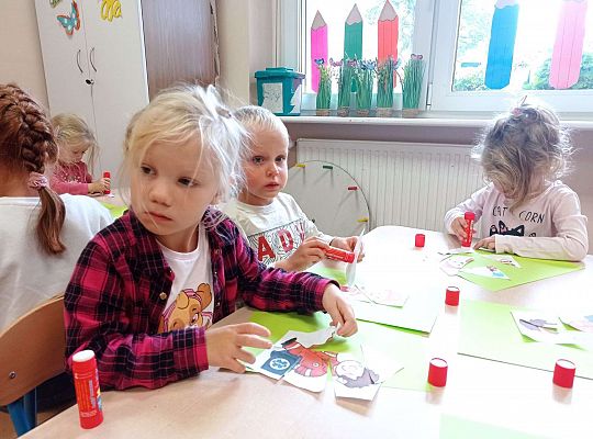 Gr. II Bezpieczeństwo