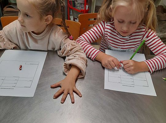 Gr. IV "Brzdąc w muzeum" -Pierwsza wizyta w muzeum