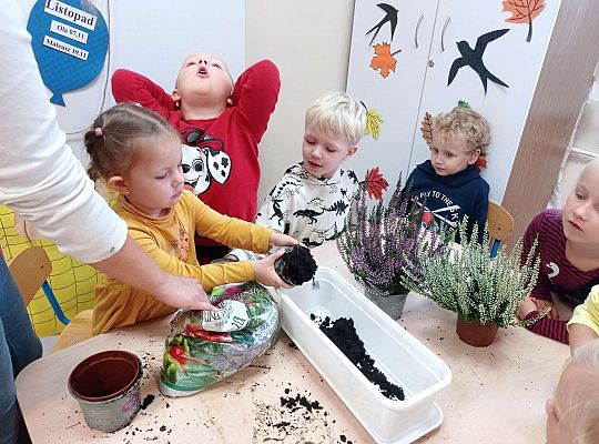 Gr. II "Sadzimy wrzosy"