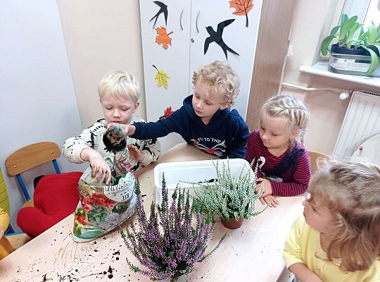 Gr. II "Sadzimy wrzosy"