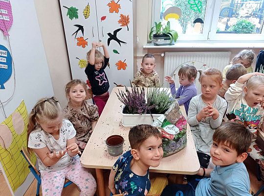 Gr. II "Sadzimy wrzosy"