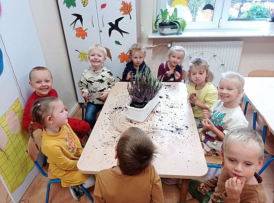 Gr. II "Sadzimy wrzosy"