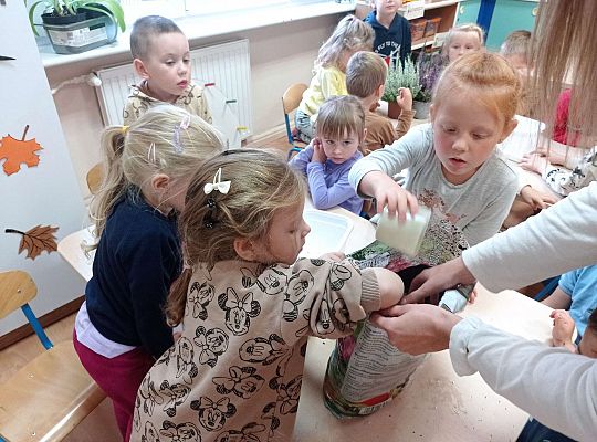 Gr. II "Sadzimy wrzosy"