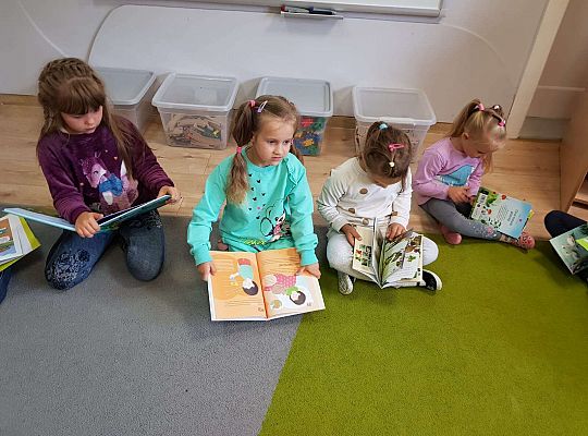 Gr. IV Poznajemy zasady czytelnika