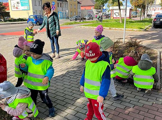 Gr. I Pierwszy spacer „ Szukamy oznak jesieni "