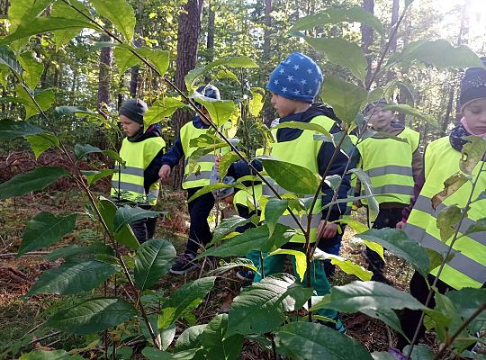 Dzieci spacerują po lesie