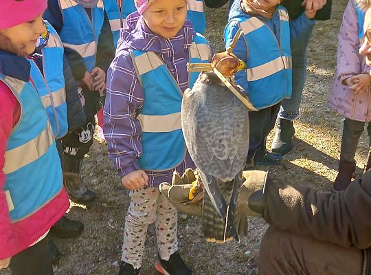 Gr. I Wyjazd do Drętowa oraz rozstrzygnięcie konkursu na budkę dla ptaków