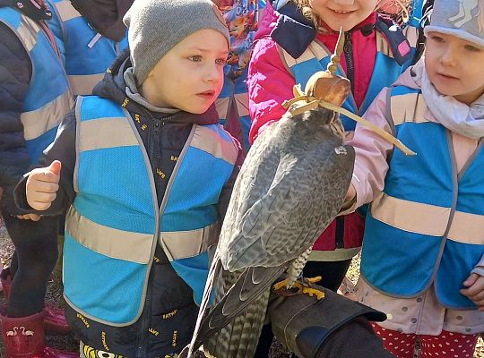 Gr. I Wyjazd do Drętowa oraz rozstrzygnięcie konkursu na budkę dla ptaków