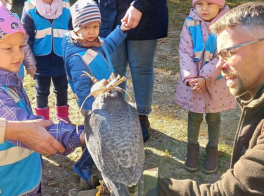 Gr. I Wyjazd do Drętowa oraz rozstrzygnięcie konkursu na budkę dla ptaków