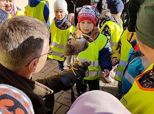 Gr. III i IV Wyjazd do Drętowa oraz rozstrzygnięcie konkursu na budkę dla ptaków