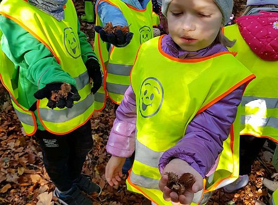 Gr. III i IV Wyjazd do Drętowa oraz rozstrzygnięcie konkursu na budkę dla ptaków