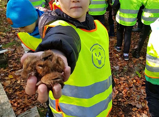 Gr. III i IV Wyjazd do Drętowa oraz rozstrzygnięcie konkursu na budkę dla ptaków