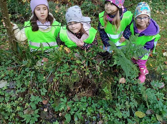 Gr. III i IV Wyjazd do Drętowa oraz rozstrzygnięcie konkursu na budkę dla ptaków