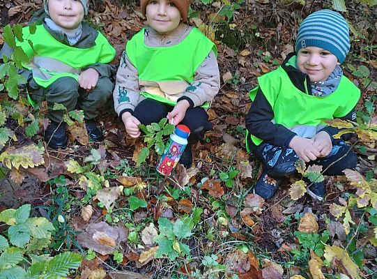 Gr. III i IV Wyjazd do Drętowa oraz rozstrzygnięcie konkursu na budkę dla ptaków