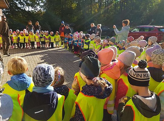 Wycieczka do Drętowa- poznajemy las, pracę leśniczego oraz sokolnika