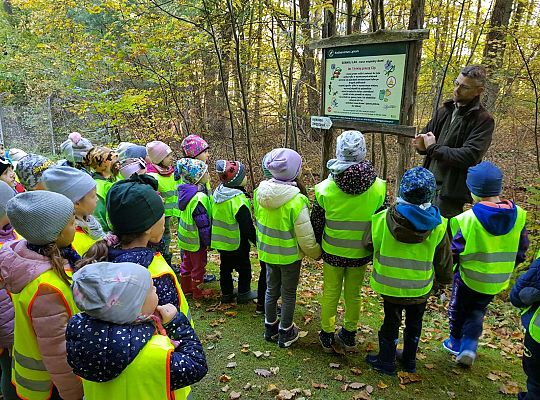 Wycieczka do Drętowa- poznajemy las, pracę leśniczego oraz sokolnika