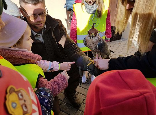 Wycieczka do Drętowa- poznajemy las, pracę leśniczego oraz sokolnika