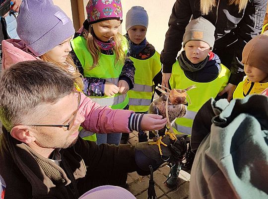 Wycieczka do Drętowa- poznajemy las, pracę leśniczego oraz sokolnika