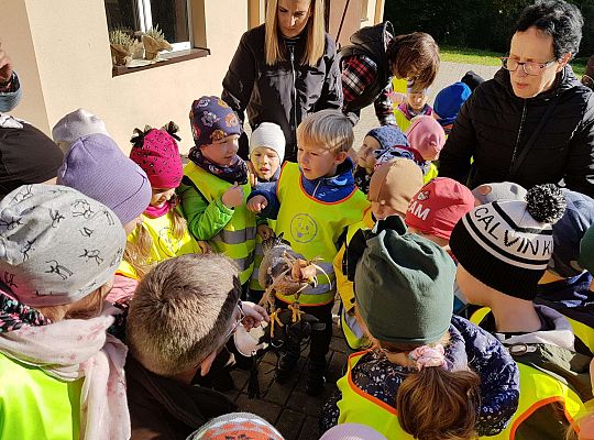 Wycieczka do Drętowa- poznajemy las, pracę leśniczego oraz sokolnika