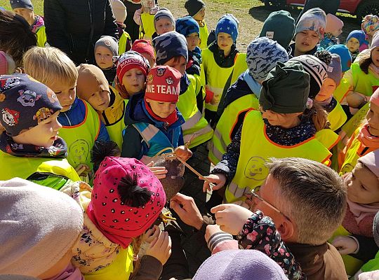 Wycieczka do Drętowa- poznajemy las, pracę leśniczego oraz sokolnika