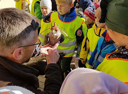 Wycieczka do Drętowa- poznajemy las, pracę leśniczego oraz sokolnika
