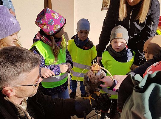 Wycieczka do Drętowa- poznajemy las, pracę leśniczego oraz sokolnika