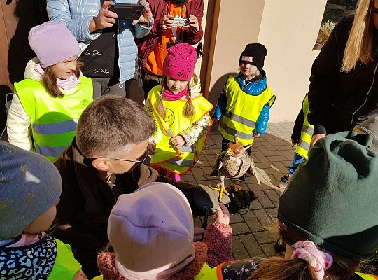 Wycieczka do Drętowa- poznajemy las, pracę leśniczego oraz sokolnika