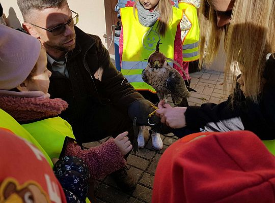 Wycieczka do Drętowa- poznajemy las, pracę leśniczego oraz sokolnika