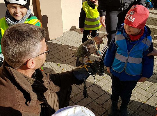 Wycieczka do Drętowa- poznajemy las, pracę leśniczego oraz sokolnika